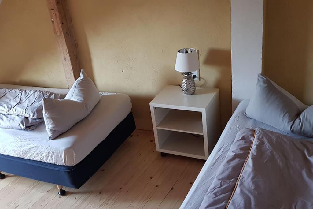 Ferienwohnung Salamander 피르나 외부 사진