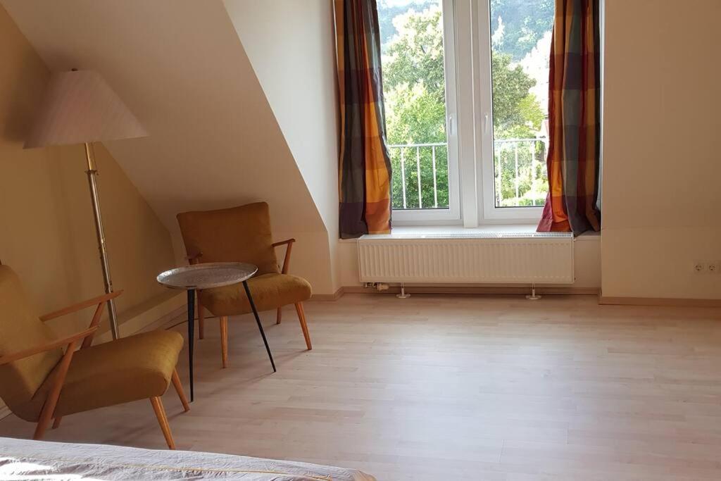 Ferienwohnung Salamander 피르나 외부 사진